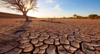 Temperature oltre la media, siccità ed eventi estremi: allarme clima in Europa