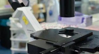 Così i tumori perdono il dono dell’invisibilità, la nuova strategia in una ricerca italiana