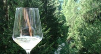 Codice della strada: bottiglie take away e più taxi, i Consorzi del vino in campo per un bere responsabile