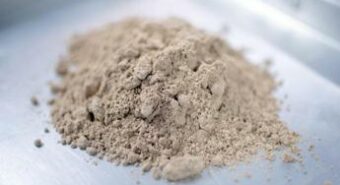 Dalle alghe alla farina di insetti, l’esperto: “Sì a novel food, alta densità di nutrienti”
