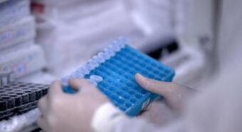 Ecco come si mescola il Dna al concepimento, la mappa