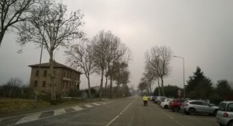 Nuovo tratto di Ciclovia del Sole da Concordia a Mirandola, in corso la sostituzione delle alberature in via Gramsci e via Piave