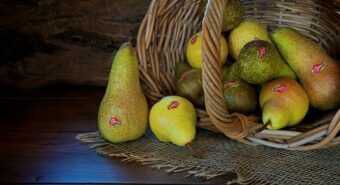 Le pere dell’Emilia-Romagna protagoniste in un concorso con Apple