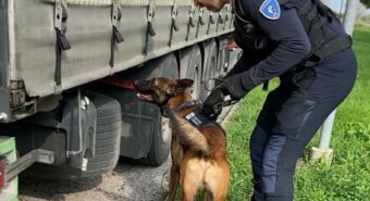 Unità cinofila della Polizia Locale di Mirandola, la sindaca Budri: “Valore aggiunto al servizio dei cittadini”