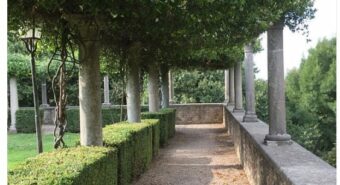ITINERARI CURIOSI | Intrigo a Palazzo Gonzaga: la visita “dinamica” che non ti aspetti