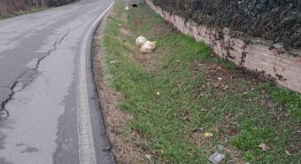 Spazzatura abbandonata in via San Martino Carano a Mirandola