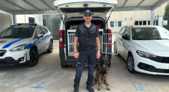 Il cane poliziotto Thor prende servizio il 7 gennaio a Mirandola, la proposta di Siena: “Sia a servizio di tutta la Bassa”