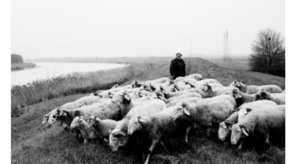 “Verso la foce”, a San Felice la mostra fotografica di Lauro Casoni