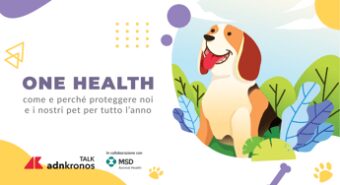 Animali, domani alle 11 il talk per proteggere dalle zecche noi e nostri animale