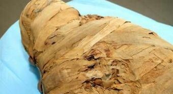 Legnoso e dolce-piccante, ecco il profumo di Tutankhamon: scoperto odore mummie egiziane