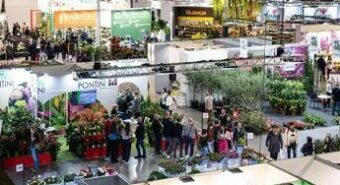Piante e fiori made in Italy da record, nel 2024 toccati i 3,3 mld di euro