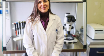A Modena trovata la ricetta antistress per le proteine TDP-43, il cui accumulo è un marcatore per la diagnosi di SLA, Alzheimer e Demenza Frontotemporale