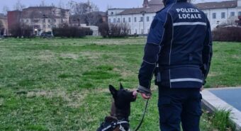 Controlli della Polizia Locale, identificate dieci persone al parco Novi Sad