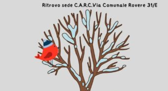 A spasso per Finale Emilia tra piante e animali