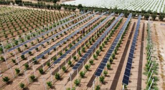 Agrivoltaico, “Carpi per la giustizia climatica e sociale”: “Sì al fotovoltaico, no a consumo di suolo e speculazione”