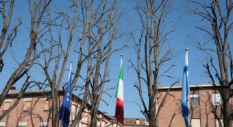 Abbattimenti, potature e sfalci, a Cavezzo interventi di manutenzione del verde pubblico