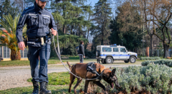 Nuovamente arrestato per spaccio dopo due mesi, ora è in carcere