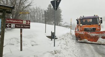 Maltempo nella Bassa: albero caduto su un’auto a Camposanto, pali della luce abbattuti e forte vento