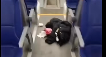 Treno pendolari vandalizzato dai tifosi del Modena, il sindaco Mezzetti: “Inaccettabile”