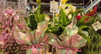 Con la campagna Coop “Verde Speranza” si può sostenere la realizzazione dell’hospice San Martino a San Possidonio