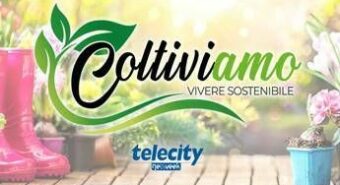 ColtiviAmo, su Telecity arriva un programma dedicato al mondo green