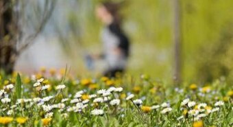 Da allergie a sonno cattivo, ecco gli ‘acciacchi’ di primavera e come affrontarli
