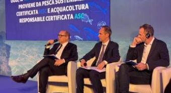 Findus, Roca: “Mercato in leggera crescita, nel 2024 noi cresciuti del 2,6%”