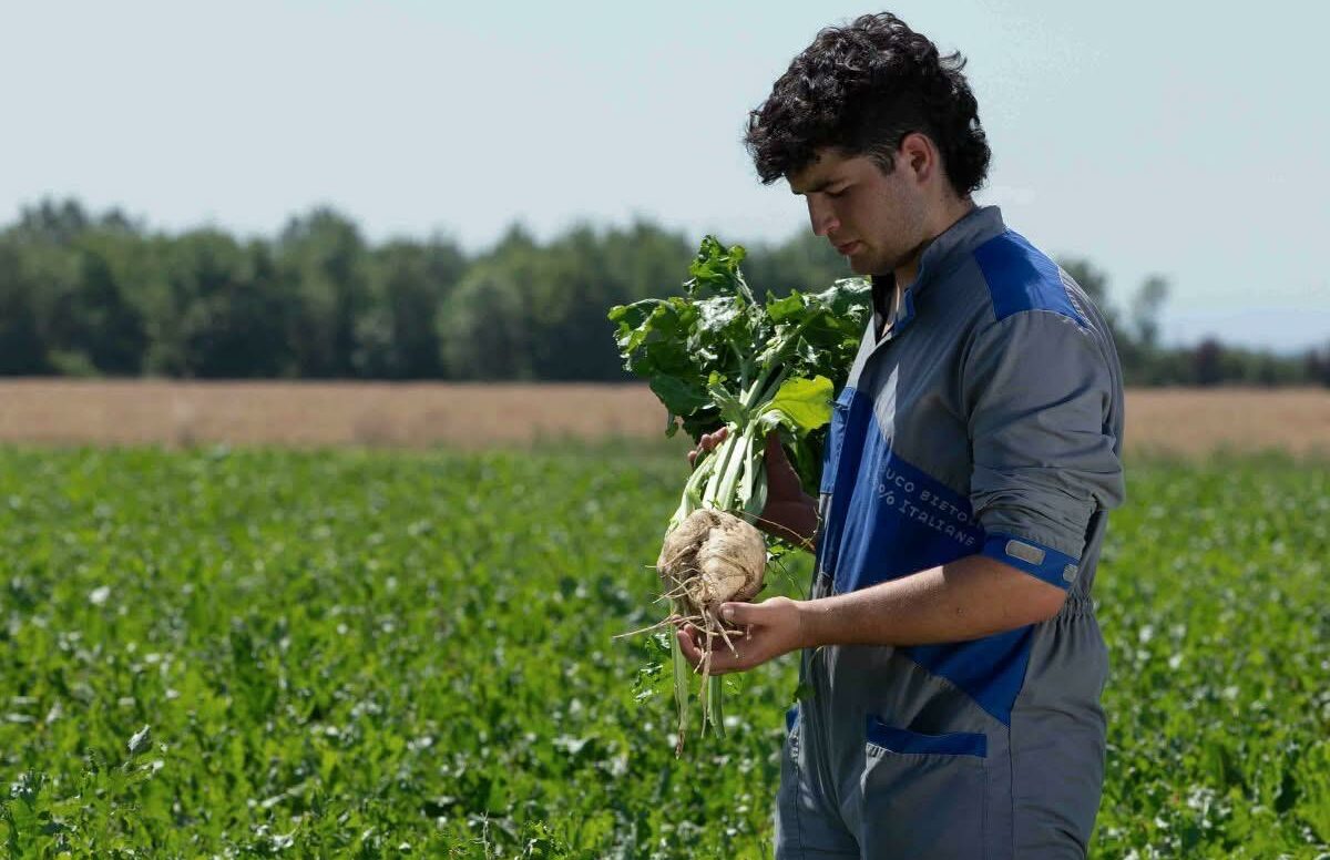 Emilia-Romagna, al via la stagione della barbabietola da  zucchero