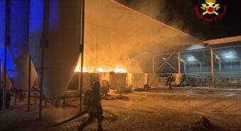 Incendio nella notte in un’azienda agricola: salvati tutti gli animali