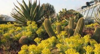 L’ Università di Roma Tor Vergata apre orto botanico a scuole e cittadini per esperienza sostenibile