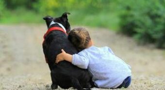‘Non diamo la colpa ai cani’, pediatri e veterinari per convivenza sicura con bimbi