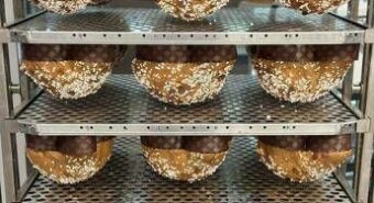 Pasqua: vegana e senza glutine, in scelta colomba sempre più attenzione a salute