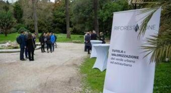 Tutela del verde in 13 città metropolitane, Mase lancia ‘RiforestAzione’