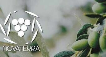 Unaprol, Progetto ‘Novaterra’, per olio più sostenibile e maggiore redditività per gli agricoltori