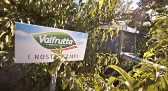 Valfrutta diventa marchio storico ed entra nel registro speciale