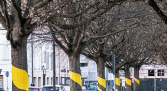 Novi, si festeggia l’8 marzo con gli “abbracci condivisi”