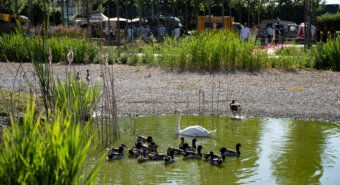 ITINERARI CURIOSI | ll Parco agroambientale Far protagonista della Bassa modenese a Quarantoli