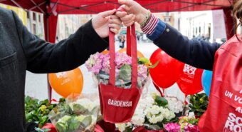 Ricerca contro la sclerosi multipla, l’8 e il 9 marzo torna la Gardensia di Aism nelle piazze modenesi
