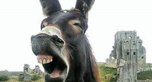 Indagine Ocse: italiani popolo di ignoranti Indagine Ocse: italiani popolo di ignoranti