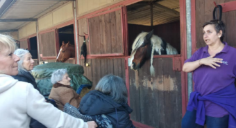La terza età e i cavalli, un’esperienza di inclusione all’Ippodromo Ghirlandina
