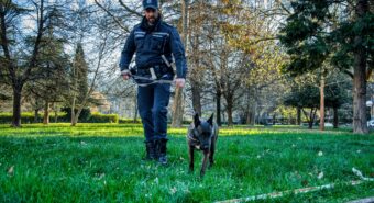 Controlli della Polizia Locale, il cane antidroga Pit fiuta un panetto di hashish nascosto al Novi Sad