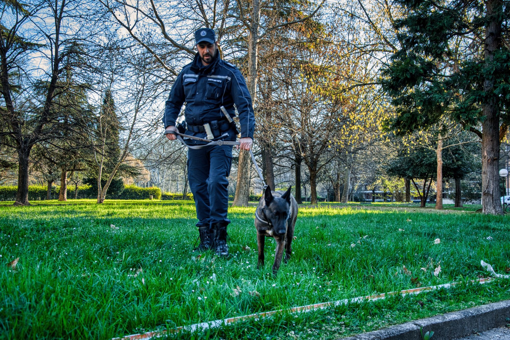 Controlli della Polizia Locale, il cane antidroga Pit fiuta un panetto di hashish nascosto al Novi Sad