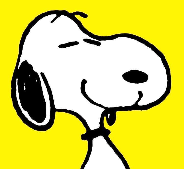 Snoopy compie 75 anni, una mostra a Parigi lo celebra come icona della moda