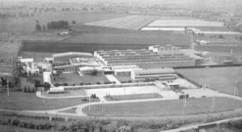 Agroalimentare, pisellini primavera Findus compiono 60 anni