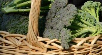 Broccoli superfood anti-aging, l’immunologo-nutrizionista: “Non può mancare 2 volte a settimana, sorprendente e salutare”