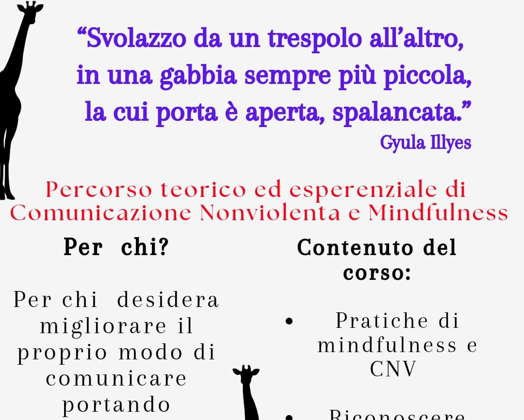 Mindfulness e comunicazione non violenta, incontri a Mirandola