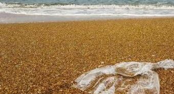 Indagine Beach Litter, peggiorato il grado di pulizia delle spiagge