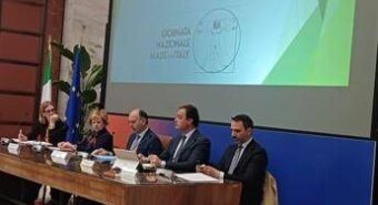 Olio, tra passione e competenza dai professionisti dell’industria olearia il successo del made in Italy