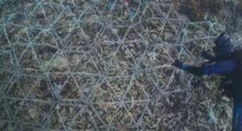 Ripristino barriere coralline, su Prime Video il documentario Reef Builders