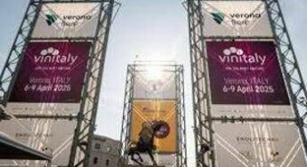 Vinitaly, Ismea: “Vino ruolo di punta sui mercati, in 10 anni +50% valore export”